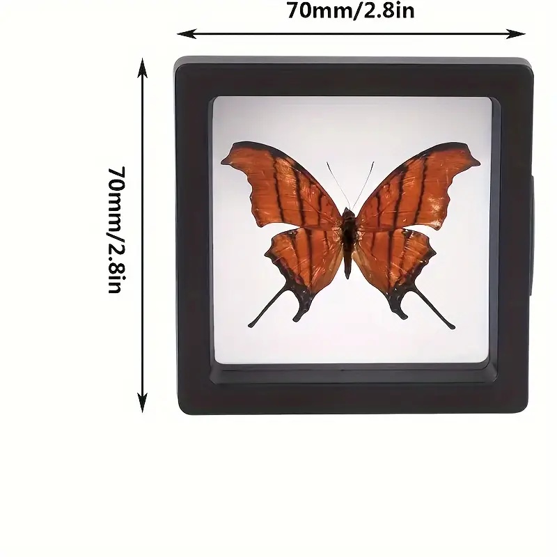 20 قطعة Clearview ثلاثية الأبع - مراجعة Display Case Acrylic وسعره